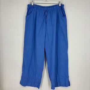 Confetti Womens Vintage XL Fits Like Lg Pull-On Cropped Pants Blue Embroidered